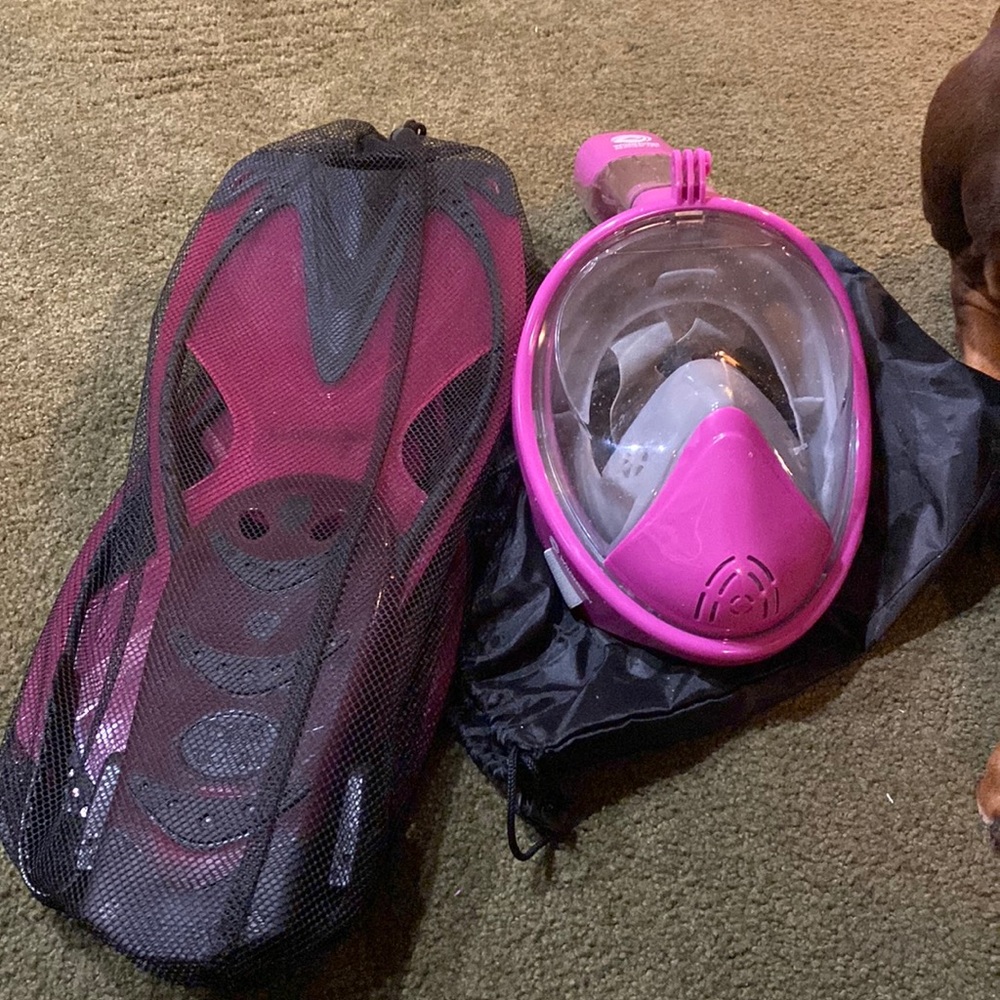 Snorkeling Gear for Adults, Full Face Snorkel Mask with Dry Swim Fins